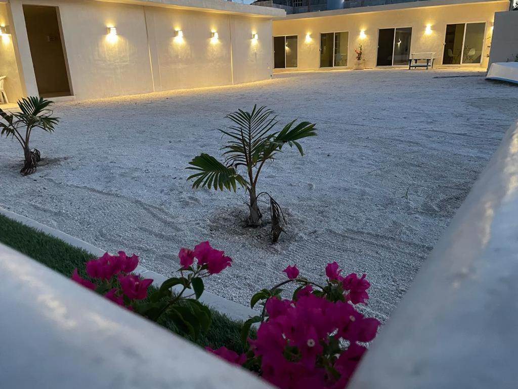Palomar Villas Río Lagartos מראה חיצוני תמונה